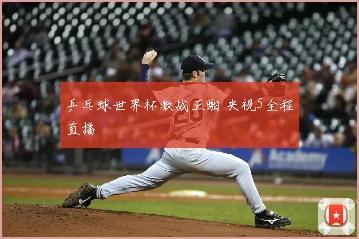 乒乓球世界杯激战正酣 央视5全程直播